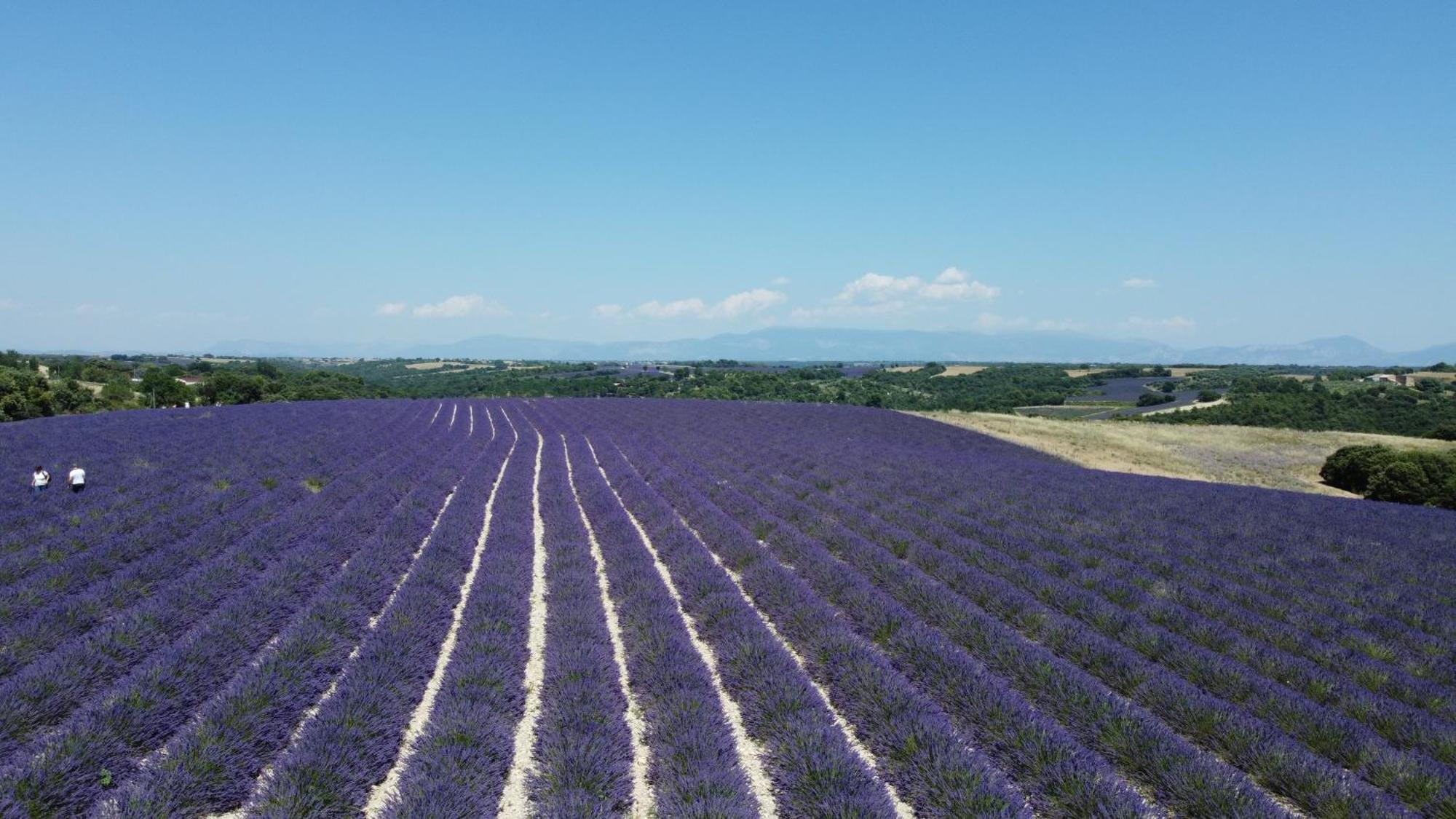 Le Jas Des Aiguiers Hotel Saint-Saturnin-d'Apt Kültér fotó